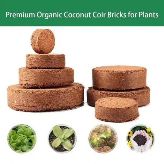 Organic Coconut Coir for Plants | Eco-Friendly Growing Medium | Pack of 2 - Tenmart