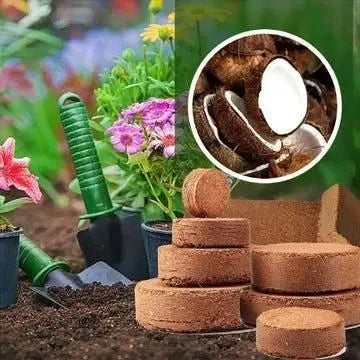 Organic Coconut Coir for Plants | Eco-Friendly Growing Medium | Pack of 2 - Tenmart